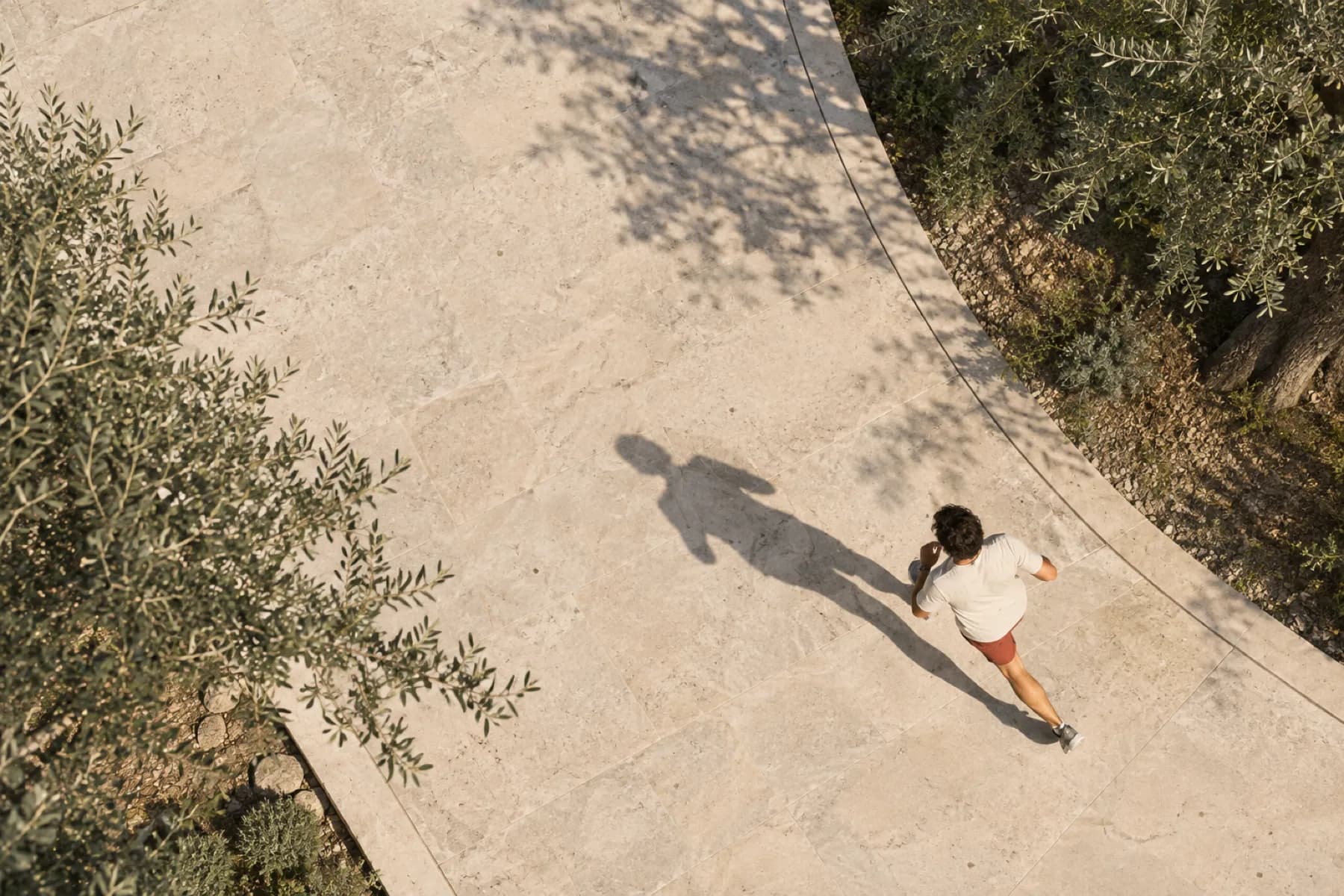 A runner seen from directly above on a curving sunlit path